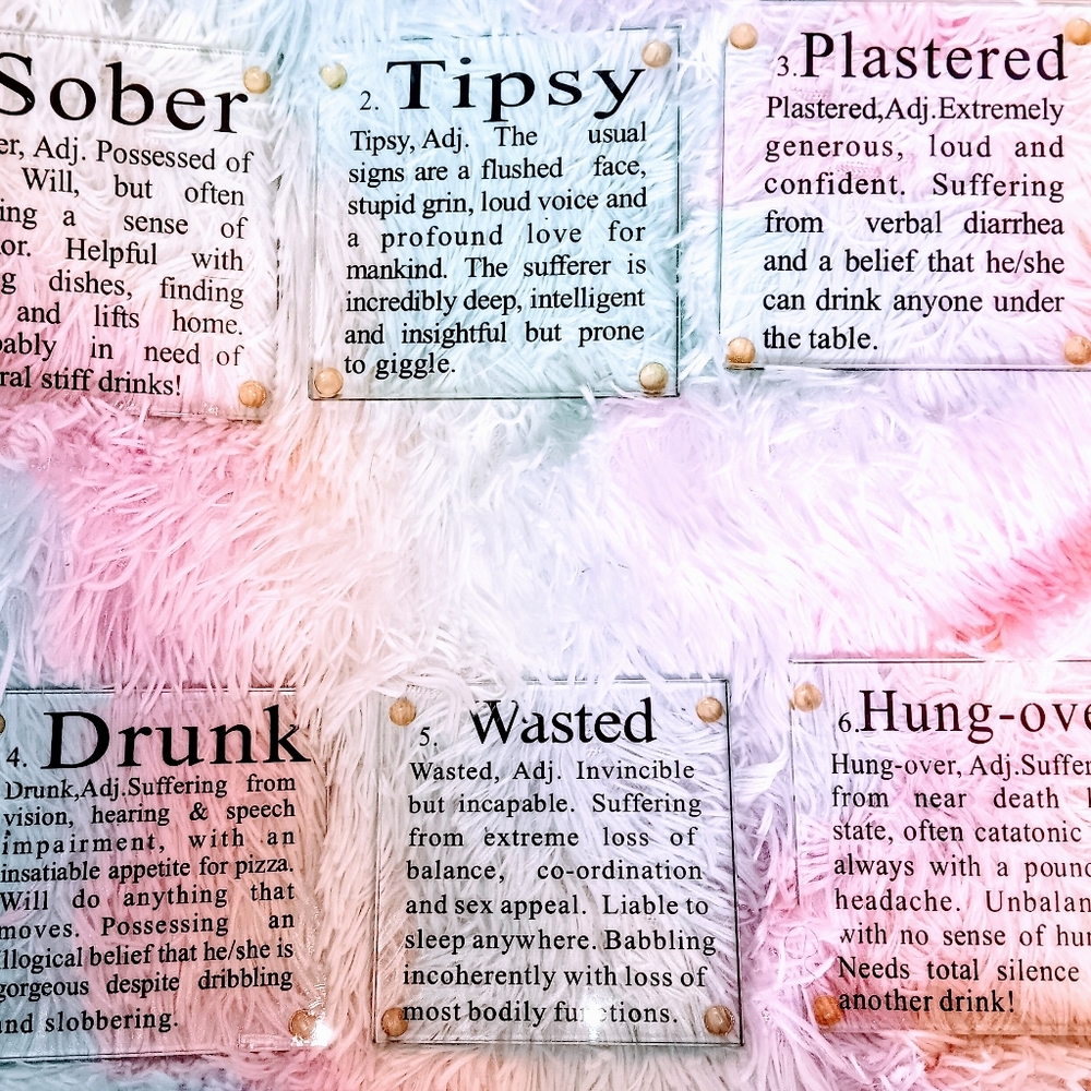 Drunk Definitions Glass Coasters~Set Of 6